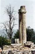 Nemee, le temple et l'arbre mort/the temple and the dead tree